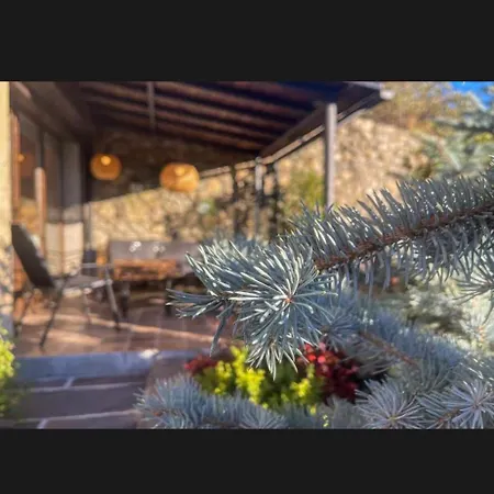Appartement Cal Gatesques 4 Puigcerdà